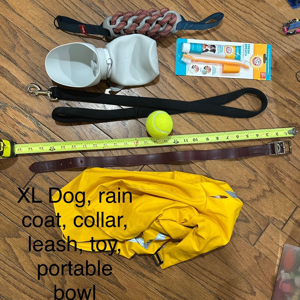 Yellow Dog Raincoat Plus Other Dog Items